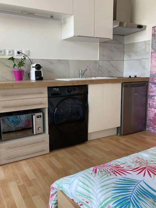 Apartamento Le Cosy Tassin - Rez De Jardin Exterior foto